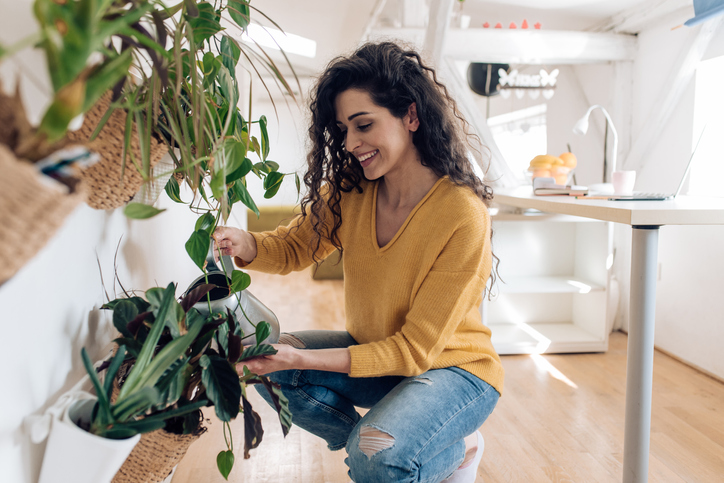 Beautiful young woman watering plants at home.