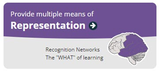 Graphic image reads "Provides multiple means of representation" and "Recognition Network: The ’What’ of learning."  Includes an illustration of the brain having the temporal, parietal and occipital lobes highlighted in purple.
