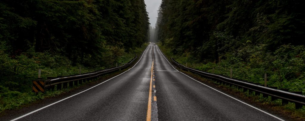 Divided highway thru thick forest with guard rails on either side. In the centre a solid yellow line and the rumble strip end part way while the dashed yellow line runs the full length.