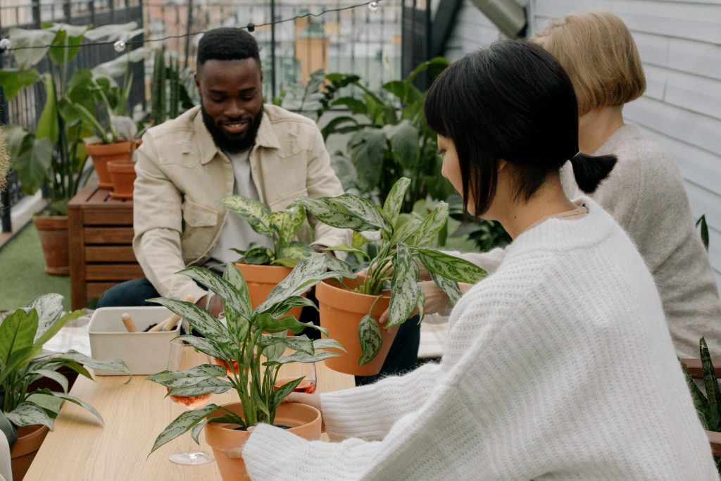 Three adults plant indoor houseplants in new pots